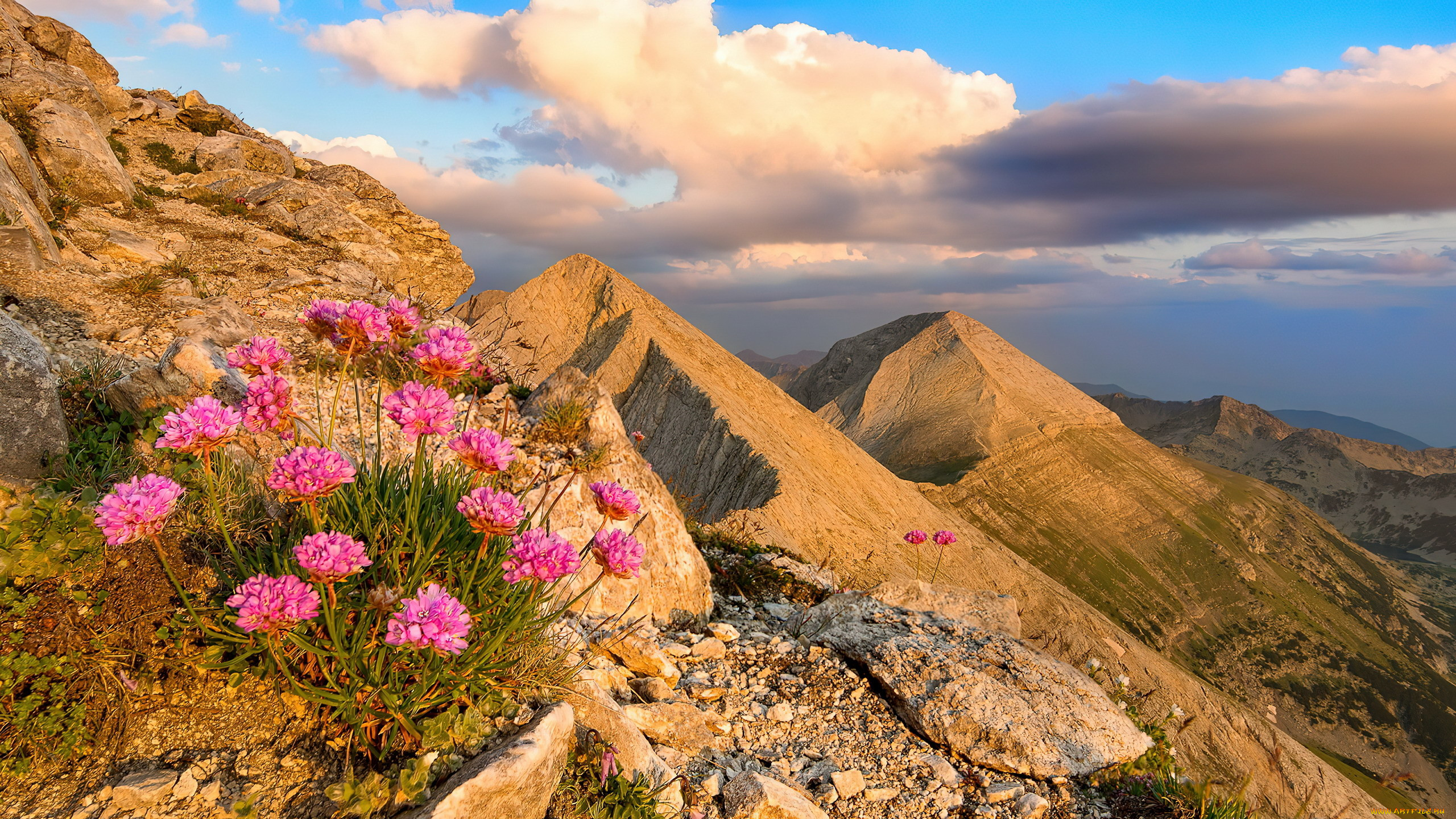 pirin mountain, bulgaria, , , pirin, mountain